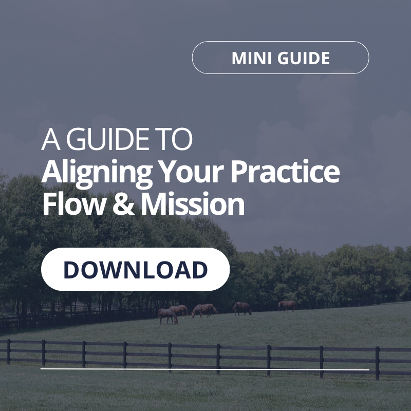 A Guide to Aligning Your Practice Flow & Mission (mini guide)