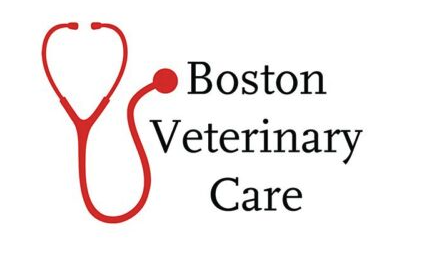 Boston Veterinary Care logo