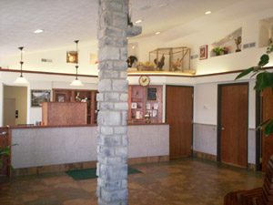 Community Veterinary Clinic reception area